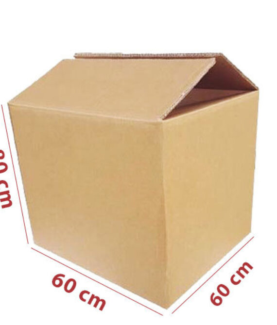 Carton Box Size-80x60x60 cm