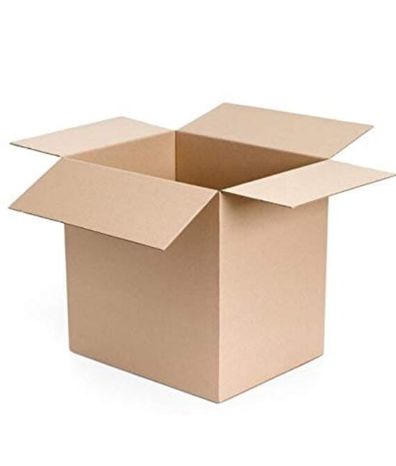 Carton Box 31x23x25 CM