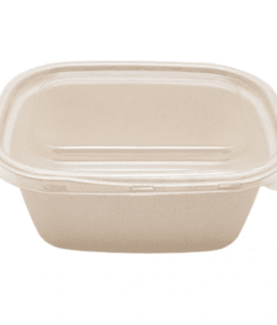 Bagasse Rectangular Containers 38 Oz