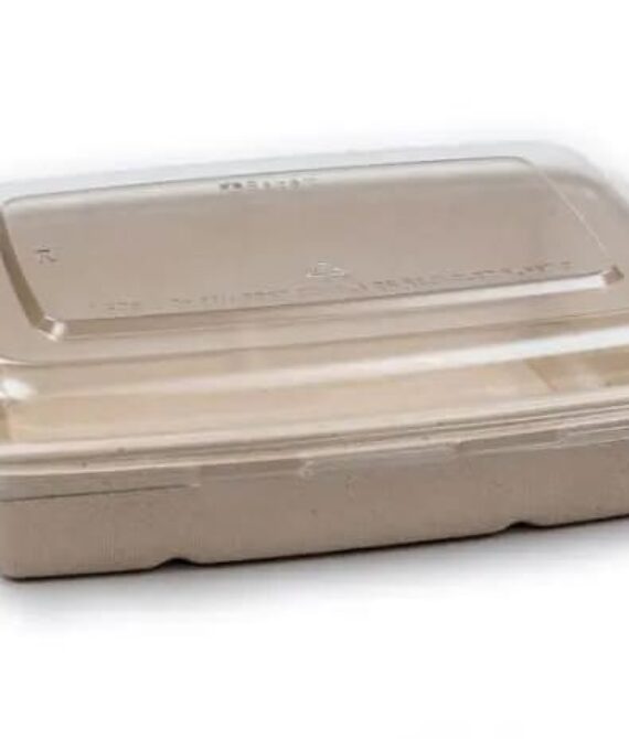 Bagasse Rectangular Containers 61 Oz