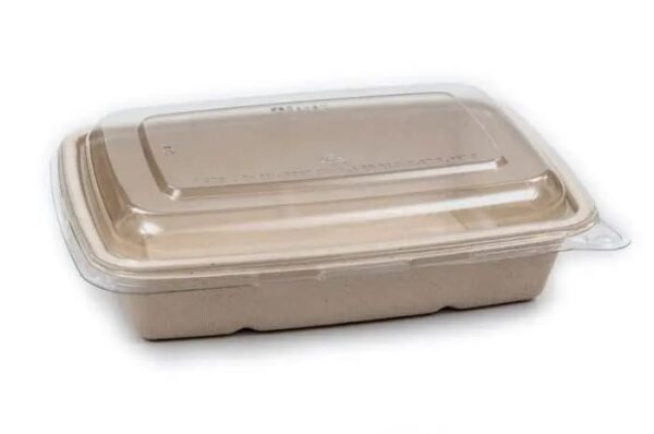 Bagasse Rectangular Containers 61 Oz